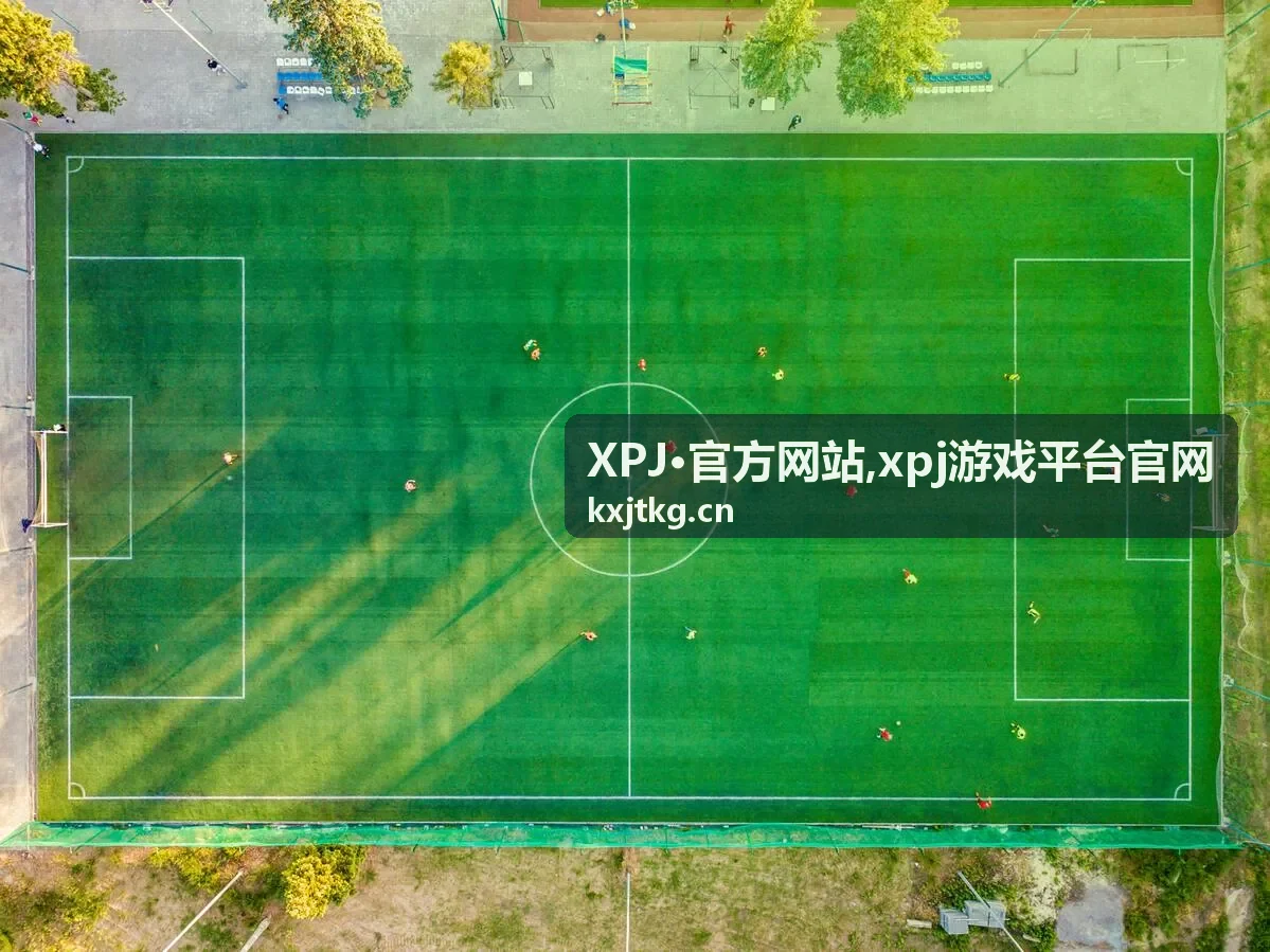 XPJ·官方网站 xpj游戏平台官网 访问示意背景