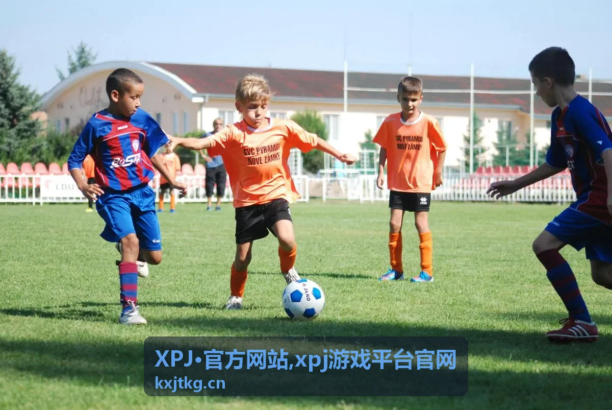 XPJ·官方网站入口识别安全提示